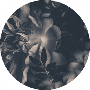Floral Collection