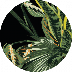 Jungle Collection