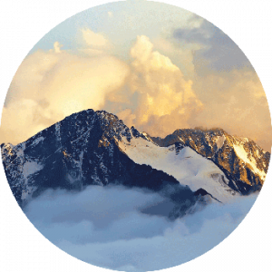 Landscape Collection