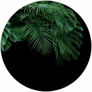 Jungle Shrub Splashback