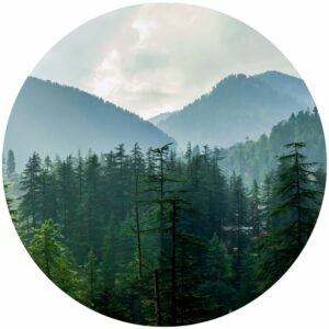 Mountain Valley Splashback