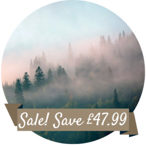 Morning Mist in Mountain Forest Splashback