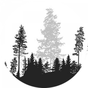 Black and White Forest Splashback