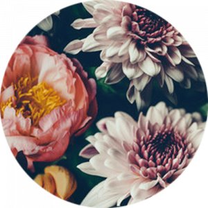 Deep Floral Splashback