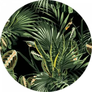 Hawaii Jungle Splashback