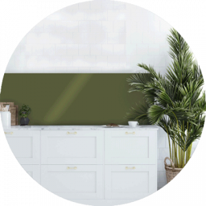Tropical Collection Samples