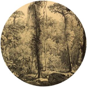 Retro Jungle Splashback