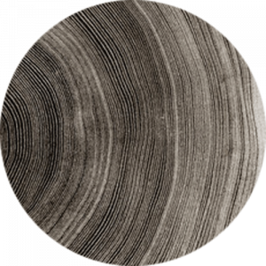 Organic Tree Rings Splashback
