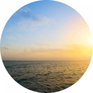 Summer Sun Splashback
