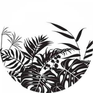 Tropical Silhouettes Splashback