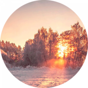 Winter Landscape Splashback