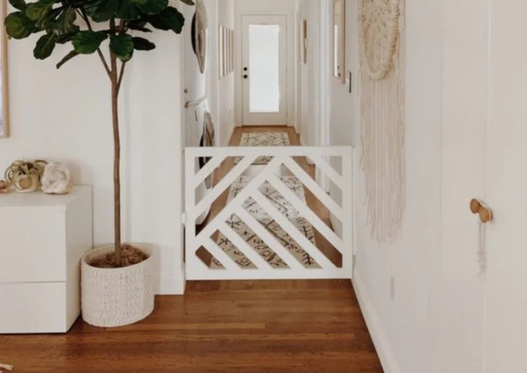 Blog Images - CSB gate