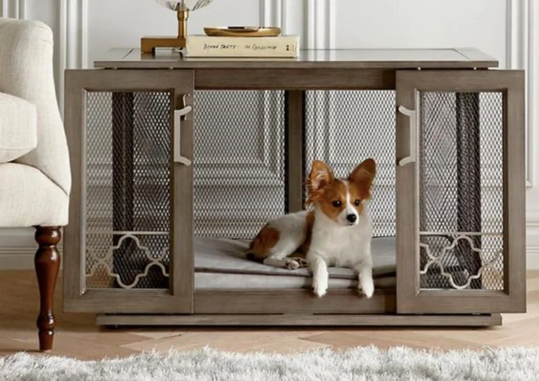 coffee table - blog